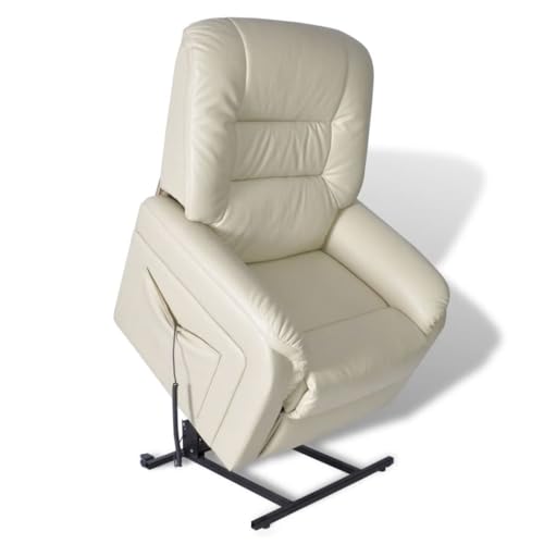 Relaxsessel mit Aufstehhilfe: vidaXL Relaxsessel