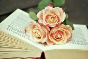 Ein romantisches Buch im Lesesessel sorgt für Entspannung