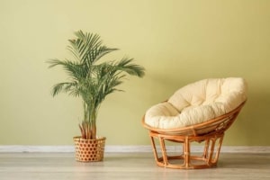 Papasansessel aus Rattan (depositphotos.com)